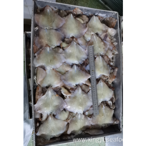 Frozen Squid Leftover Wing Nototodarus Sloanii 0-200g